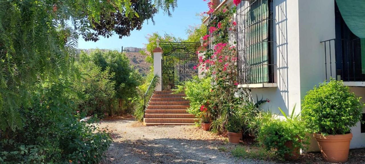 Finca Santa Matilde Málaga Exterior foto